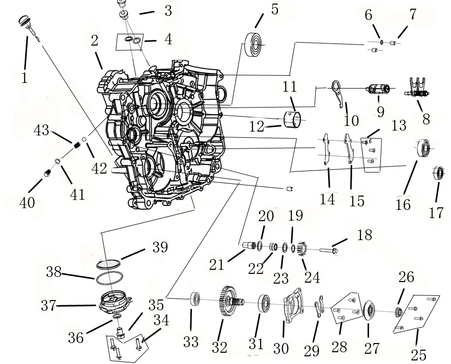 DIAGRAM 2025 AODES LEFT CRANKCASE B E10